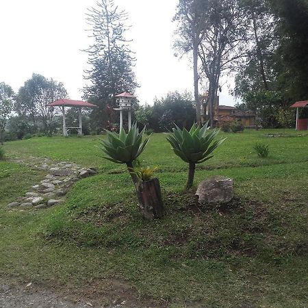 La Gaviota Bnb Bed & Breakfast Filandia Bagian luar foto